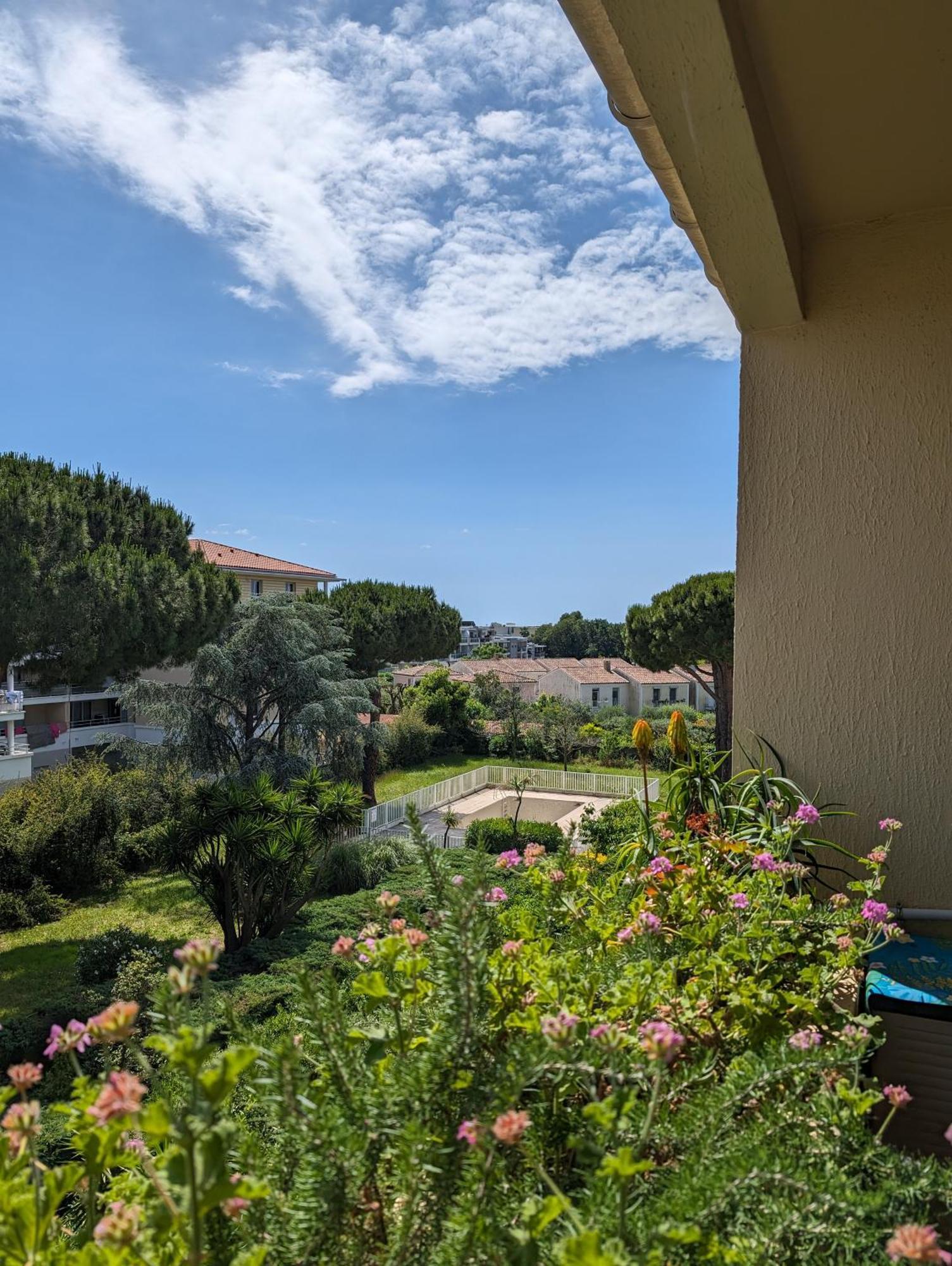 Studio Calme Dernier Etage Antibes Eksteriør billede